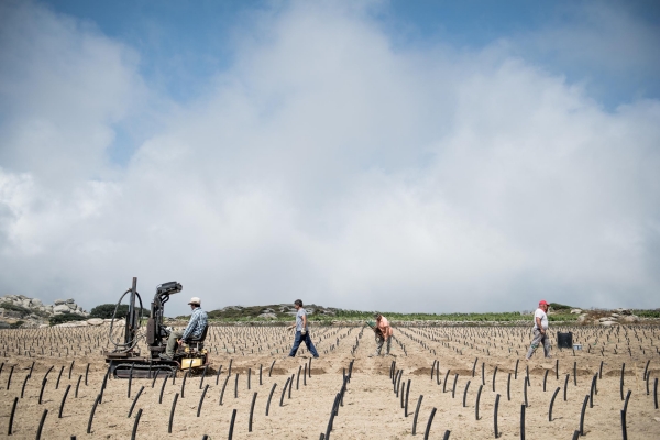 5 BTinos vues juin 2019 photo Christophe Goussard 25