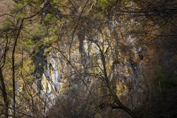 l'absence-photo-C-Goussard-VU-15a