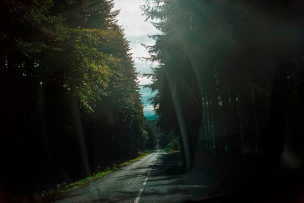 1-Les-Bois-Noirs,-Puy-de-Dome-photo-Christophe-Goussard