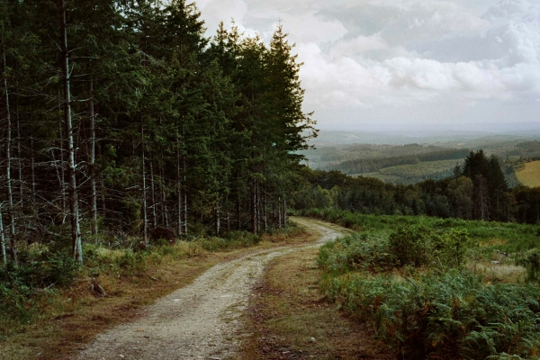 2-Sur-la-route-de-Meymac-,-plateau-de-Millevaches-,-Correze-photo-Christophe-Goussard